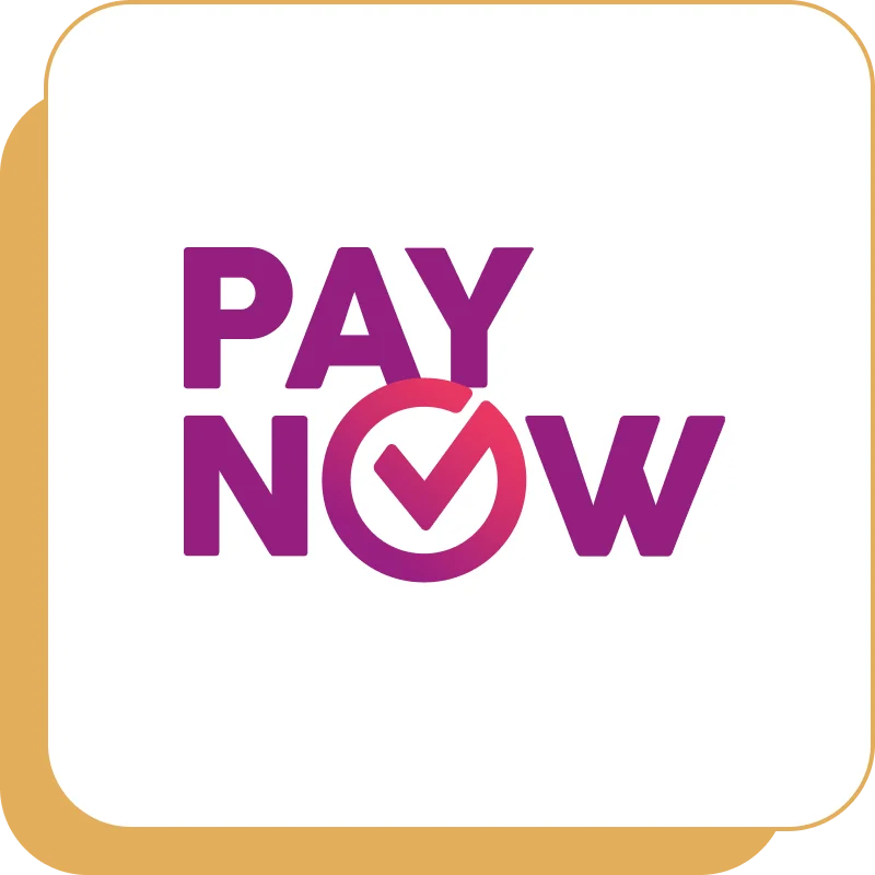 Get loan payout from PayNow